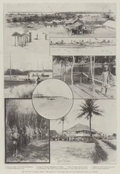 Die Unruhen in Sierra Leone, der Aufstand in den Sulima- und Manoh-Distrikten des Vai-Landes