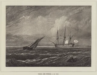 Turner