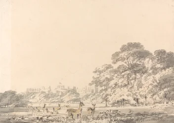 Schloss Windsor und Park mit Hirschen