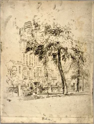 Großer Baum--Cheyne Walk