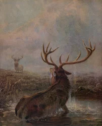 Unterbrochen, 1875, 1938