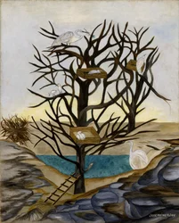 Wasservögel beim Nisten