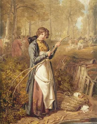 Borken von Holz in Wychwood Forest