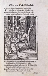 Ölmacher, Illustration aus der lateinischen Ausgabe von 