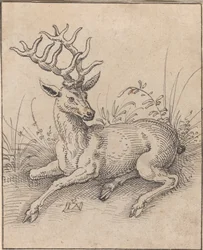 Der Hirsch