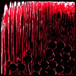 Rote Gebetsperlen, aus der Serie Misbaha