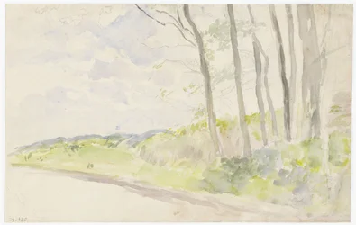 Baumgruppe an einem Weg