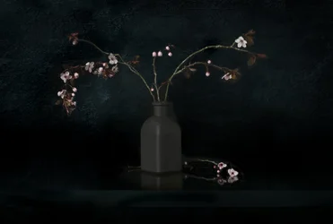 Kirschblüten Stillleben