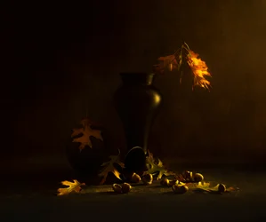 Goldene Herbst-Eicheln