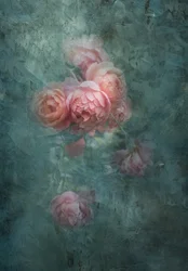 Sanfte Stimmungsvolle Rosen