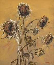 Getrocknete Herbstsonnenblumen