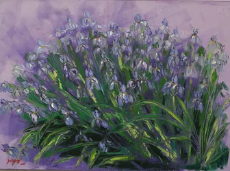 Üppige violette Iris