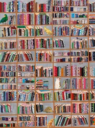 Verspielte Bibliotheksfreunde