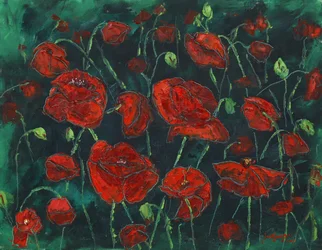 Wilde rote Mohnblumen