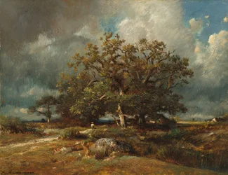 Die alte Eiche, um 1870