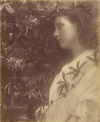 Maud "Es ist eine prächtige Träne vom Passionsblume am Tor gefallen"