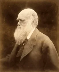 Porträt von Charles Darwin, 1868