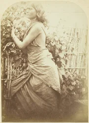 Frau, Ceylon, 1875-79