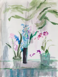 Florist Grauer Tag, 2017