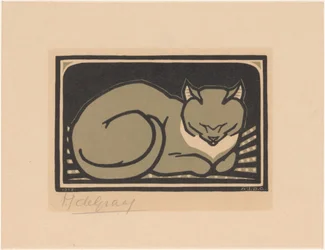 Schlafende Katze