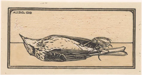 Toter Vogel