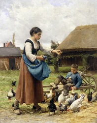 Auf dem Bauernhof