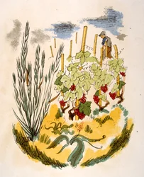 Humorvolle Weinillustration 1946. Illustration von Julien Pavil