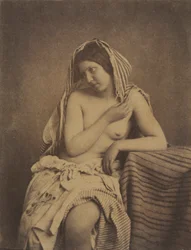Studie nach der Natur, um 1853-1855
