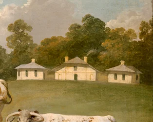 Drei Langhornrinder in der Landschaft (Detail)