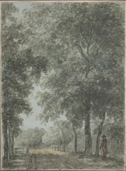 Ein Waldweg bei Treslong nahe Hillegom