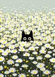 Schwarze Katze auf einer Gänseblümchenwiese