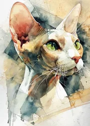 Grünäugiger Sphynx