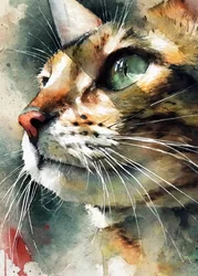 Aquarell Tabby Katze
