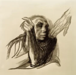 Käthe Kollwitz, Ruf des Todes