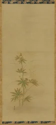 Aibika, Edo-Zeit, Mitte 17. bis Anfang 18. Jahrhundert