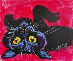Neugierige schwarze Katze