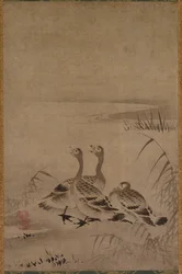 Wildgänse, frühe 1500er