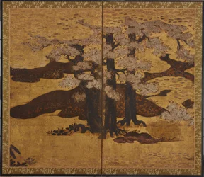 Blühende Kirschbäume, Edo-Periode, ca. 1580-1635