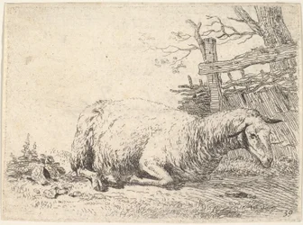 Ein Schaf liegt mit untergeschlagenen Beinen neben einem Holzzaun, ca. 1655