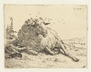 Schaf bei einem Baumstamm