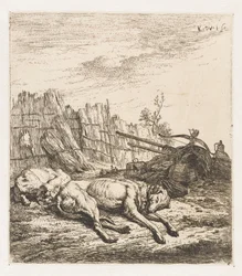 Schlafende Jagdhunde