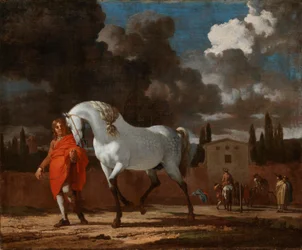 Die Reitschule