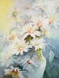 Chrysantheme, Schneekappe