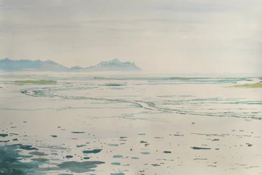 Neblige Küstenlandschaft