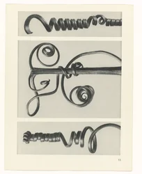 Pflanzenstudie Urformen der Kunst (Serientitel)