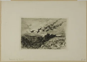 Fliegende Gänse