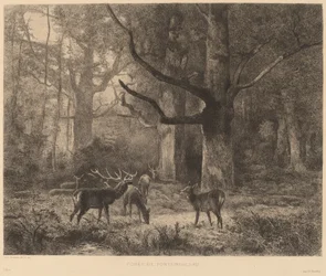 Wald von Fontainebleau