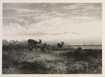 Landschaft mit Hirschen