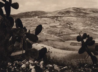 Samaria, Hippodrom von Herodes (s/w Foto)