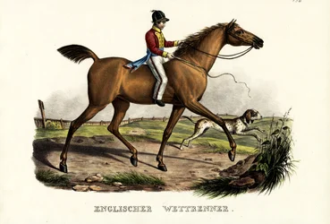 Englisches Rennpferd, 1824